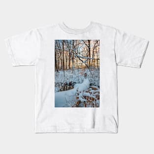 Snow Bridge Kids T-Shirt